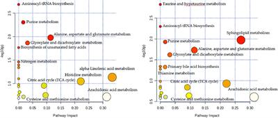 Serum Metabolomic Analysis of Coronary Heart Disease Patients with Stable Angina Pectoris Subtyped by Traditional Chinese Medicine Diagnostics Reveals Biomarkers Relevant to Personalized Treatments